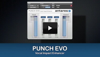 Punch Evo Video Screenshot